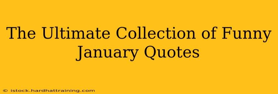 The Ultimate Collection of Funny January Quotes