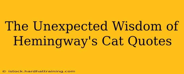 The Unexpected Wisdom of Hemingway's Cat Quotes