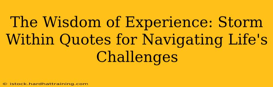 The Wisdom of Experience: Storm Within Quotes for Navigating Life's Challenges