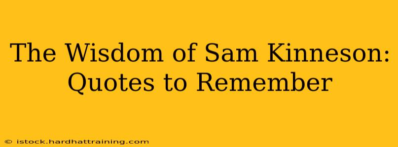 The Wisdom of Sam Kinneson: Quotes to Remember