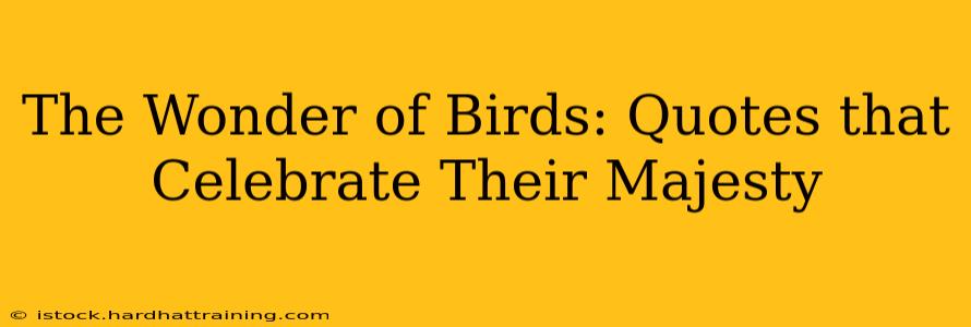 The Wonder of Birds: Quotes that Celebrate Their Majesty