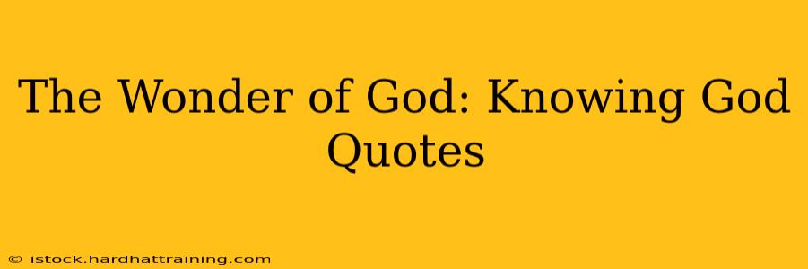 The Wonder of God: Knowing God Quotes