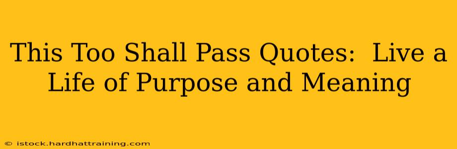 This Too Shall Pass Quotes:  Live a Life of Purpose and Meaning