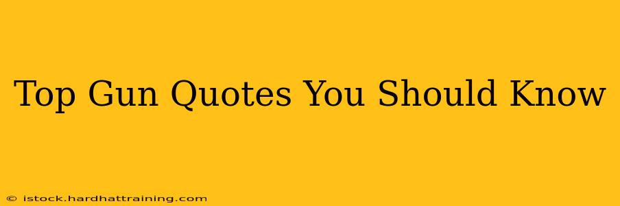 Top Gun Quotes You Should Know