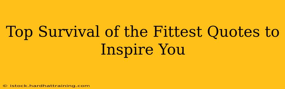 Top Survival of the Fittest Quotes to Inspire You