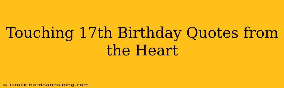 Touching 17th Birthday Quotes from the Heart