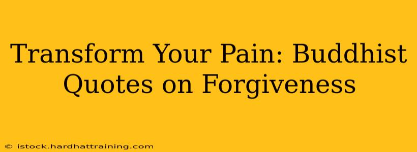 Transform Your Pain: Buddhist Quotes on Forgiveness