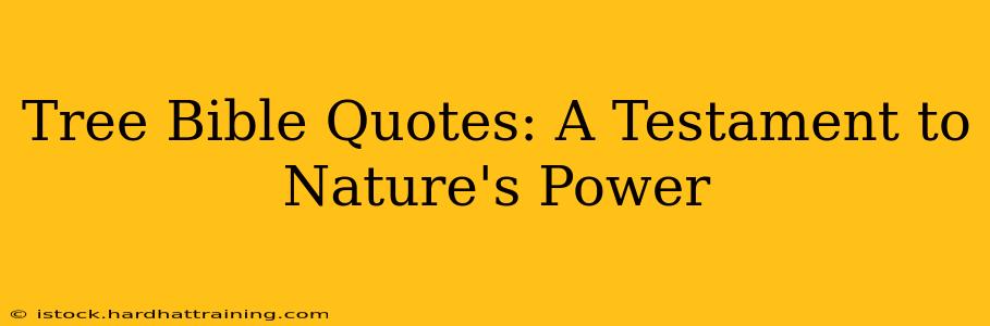 Tree Bible Quotes: A Testament to Nature's Power