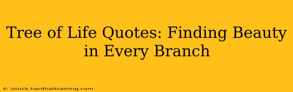 Tree of Life Quotes: Finding Beauty in Every Branch