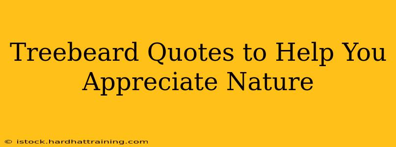 Treebeard Quotes to Help You Appreciate Nature