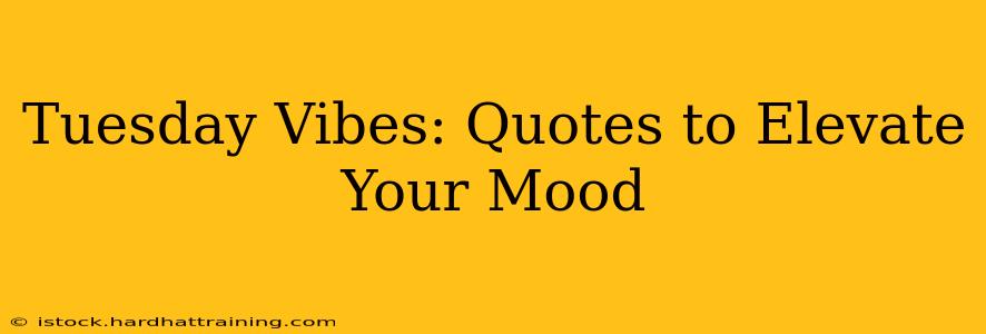 Tuesday Vibes: Quotes to Elevate Your Mood