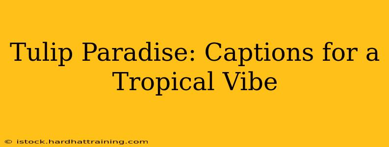 Tulip Paradise: Captions for a Tropical Vibe