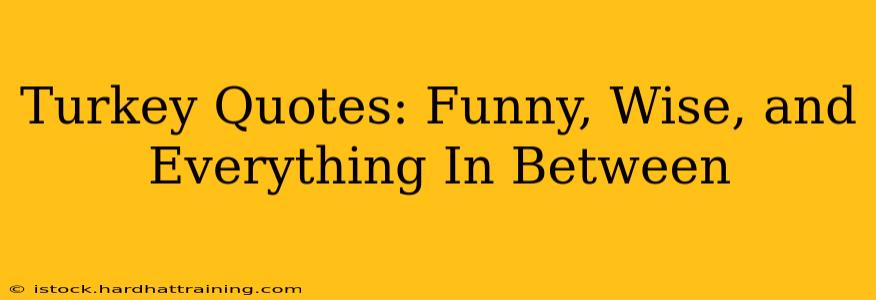 Turkey Quotes: Funny, Wise, and Everything In Between
