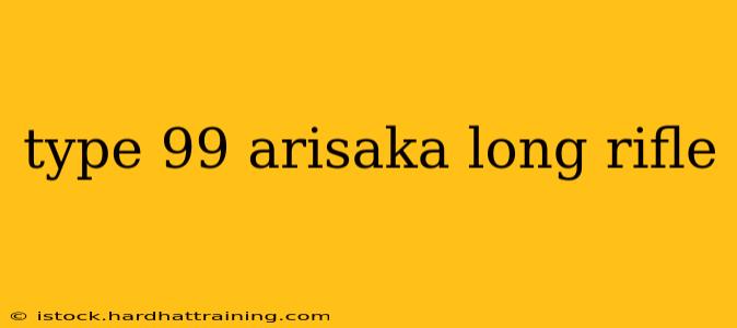 type 99 arisaka long rifle