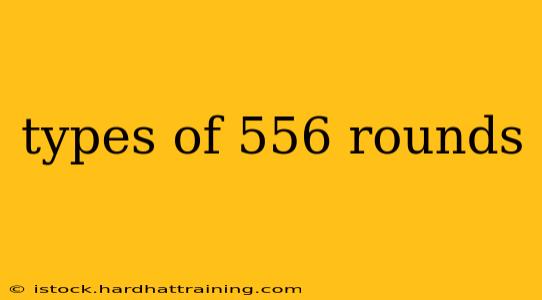 types of 556 rounds