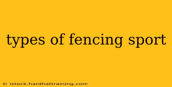 types of fencing sport