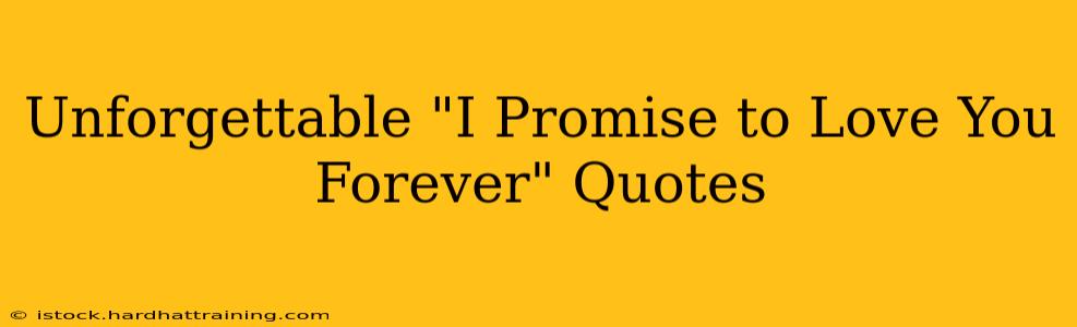 Unforgettable "I Promise to Love You Forever" Quotes