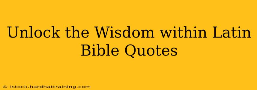 Unlock the Wisdom within Latin Bible Quotes