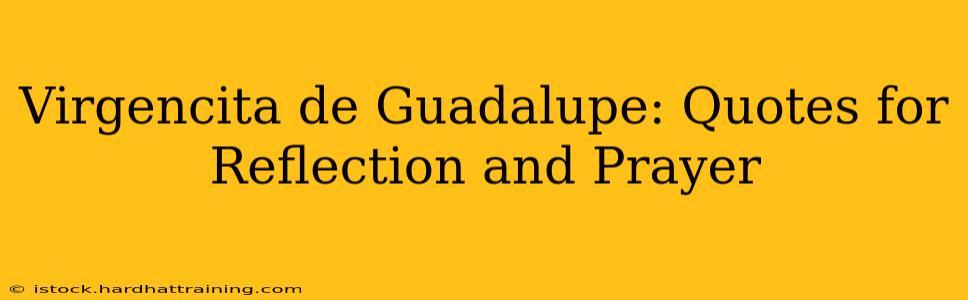 Virgencita de Guadalupe: Quotes for Reflection and Prayer