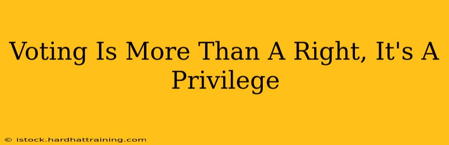 Voting Is More Than A Right, It's A Privilege