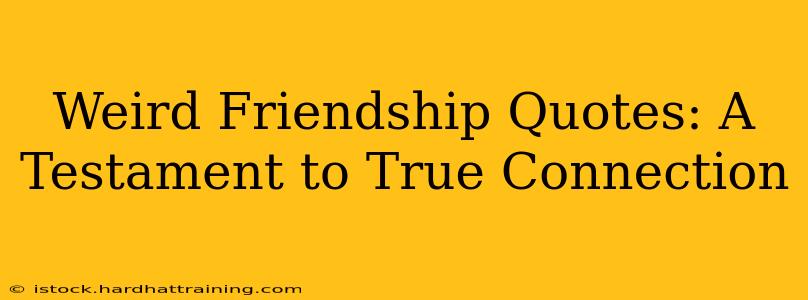 Weird Friendship Quotes: A Testament to True Connection