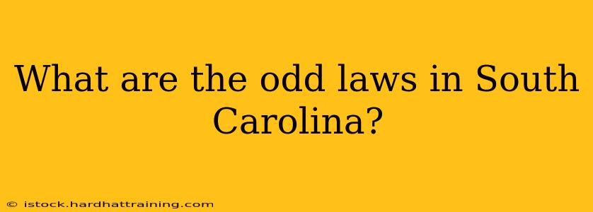 What are the odd laws in South Carolina?