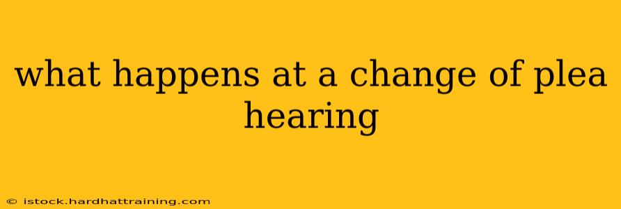 what happens at a change of plea hearing