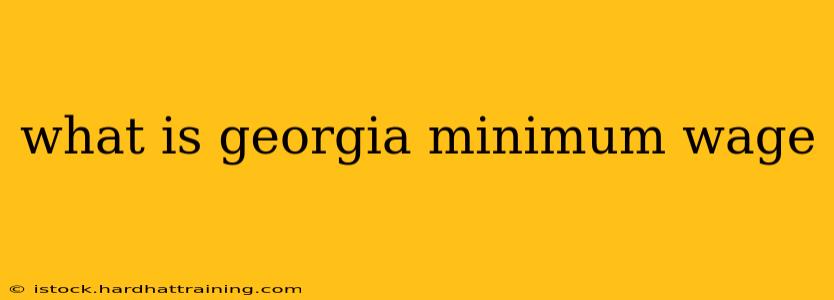 what is georgia minimum wage