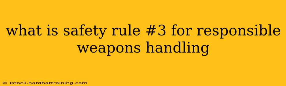 what is safety rule #3 for responsible weapons handling