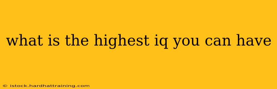 what is the highest iq you can have