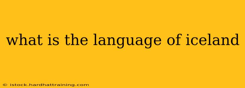 what is the language of iceland