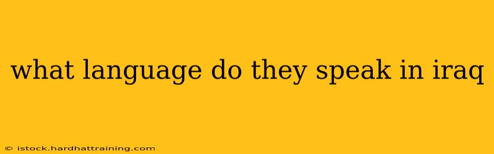 what language do they speak in iraq