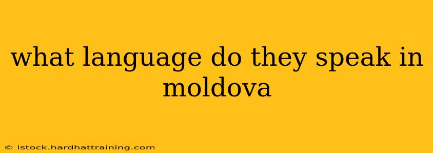 what language do they speak in moldova