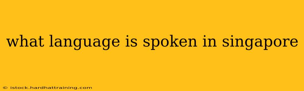 what language is spoken in singapore