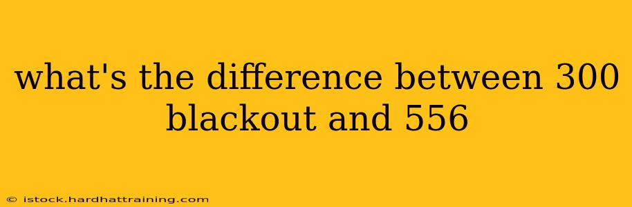 what's the difference between 300 blackout and 556