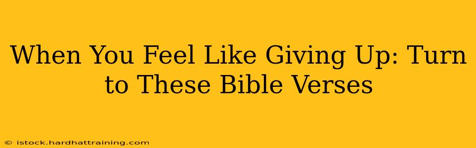 When You Feel Like Giving Up: Turn to These Bible Verses