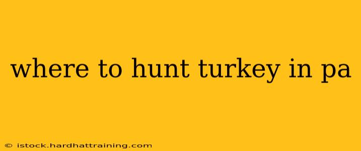 where to hunt turkey in pa