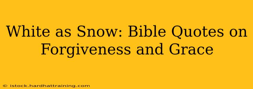 White as Snow: Bible Quotes on Forgiveness and Grace