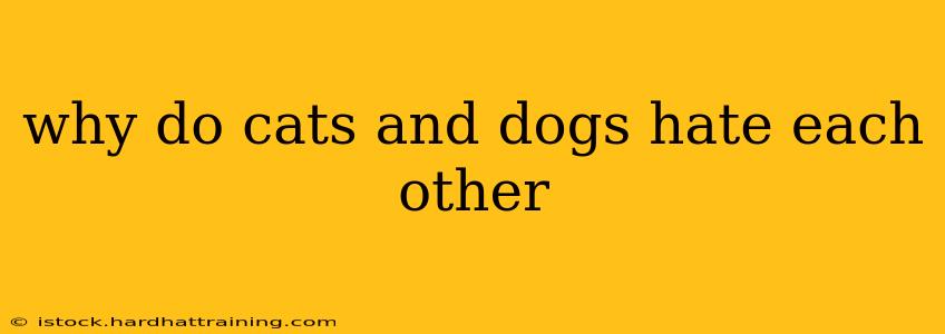 why do cats and dogs hate each other