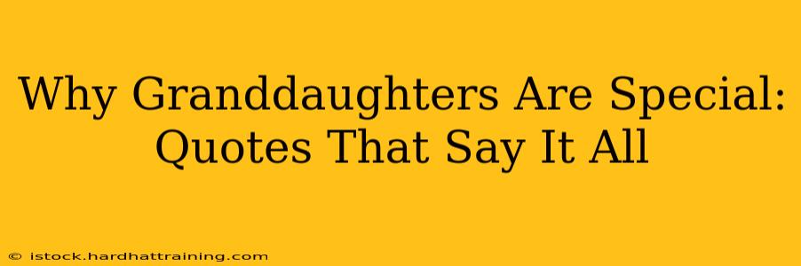 Why Granddaughters Are Special: Quotes That Say It All