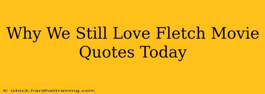 Why We Still Love Fletch Movie Quotes Today