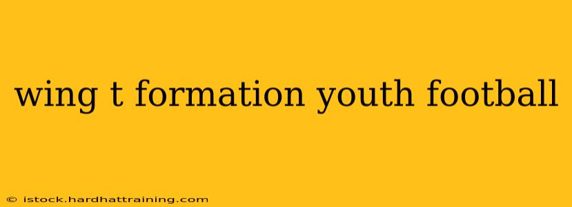 wing t formation youth football