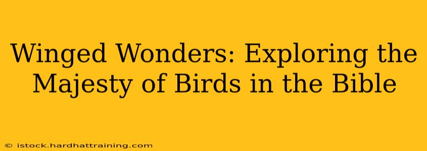 Winged Wonders: Exploring the Majesty of Birds in the Bible