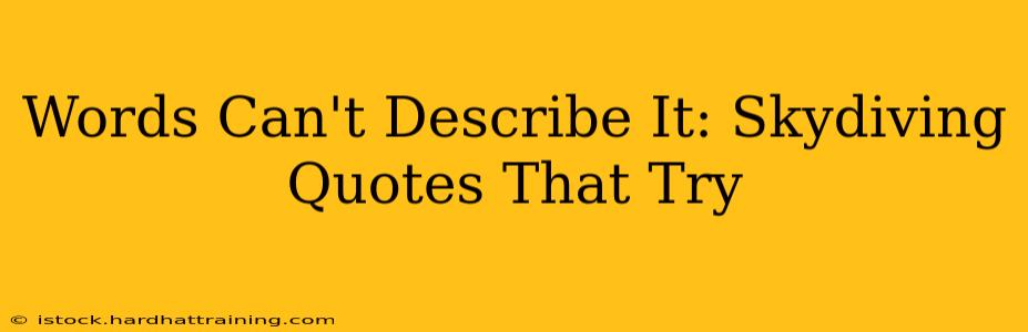 Words Can't Describe It: Skydiving Quotes That Try