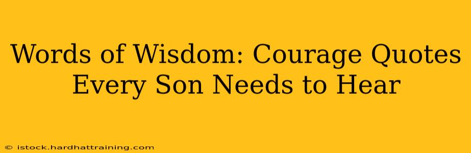 Words of Wisdom: Courage Quotes Every Son Needs to Hear