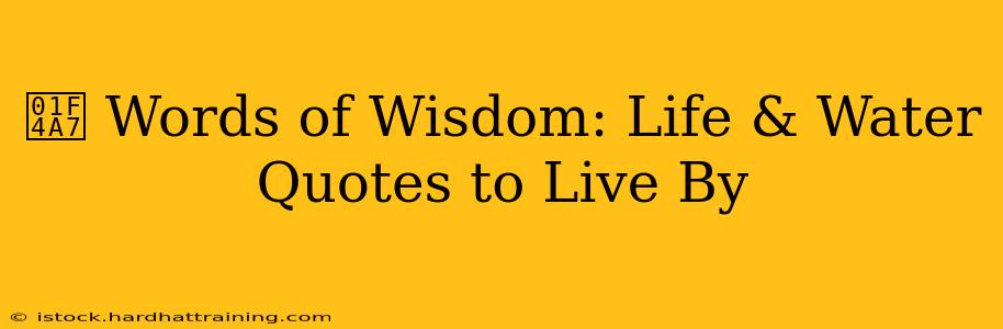 💧 Words of Wisdom: Life & Water Quotes to Live By