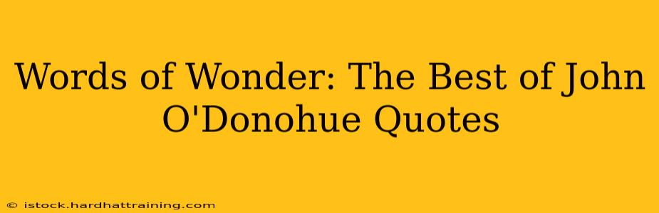 Words of Wonder: The Best of John O'Donohue Quotes