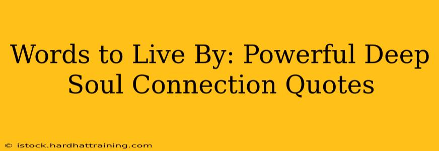 Words to Live By: Powerful Deep Soul Connection Quotes