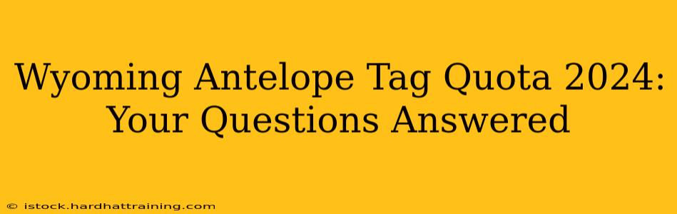 Wyoming Antelope Tag Quota 2024: Your Questions Answered