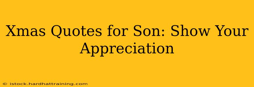 Xmas Quotes for Son: Show Your Appreciation